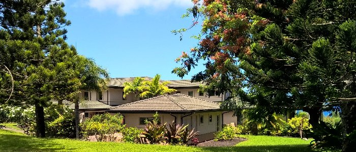 A two-story plantation-style house in taupe with a tile roof, screened behind Cook pines and a flowering orange poinciana.