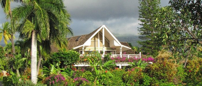 A white gable-fronted house half hidden behind dense tropical planting, banana and magenta bougainvillea, under a dark rain-cloud sky.