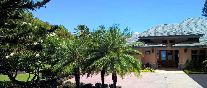 A low shake-roofed home with a stone-based entry, approached across a drive lined with date palms and white plumeria under a hard blue sky.